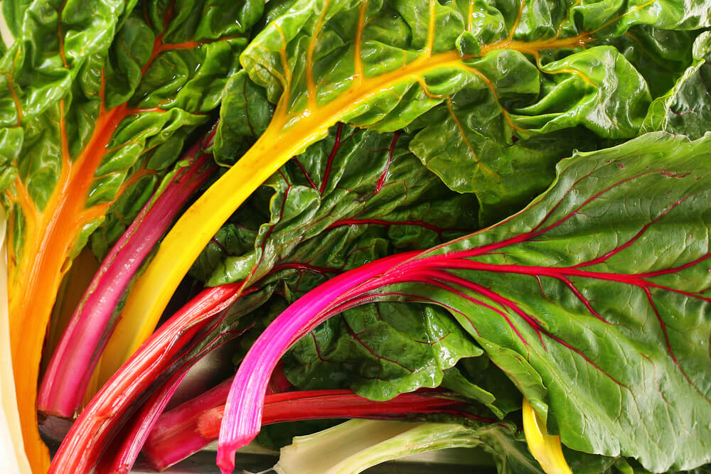 Swiss Chard is a colorful and healthy superfood. 